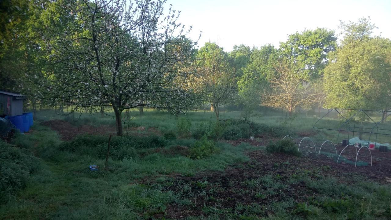 La Roulotte Chainoux Bains-sur-Oust Bagian luar foto